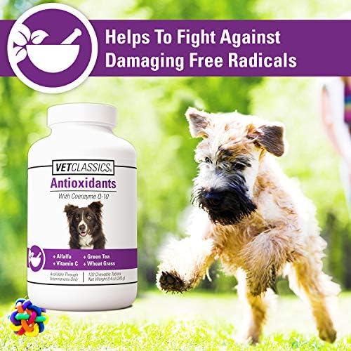 Vet Classics Antioxidants Supplement with Coenzyme Q-10 for Dogs - 120 Ct