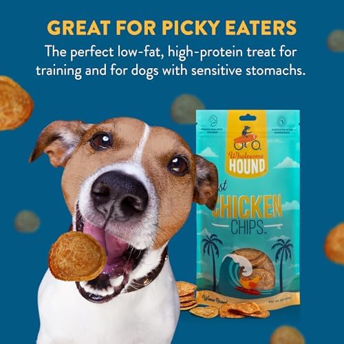 Chicken Chips Dog Treats, Single Ingredient, 8oz