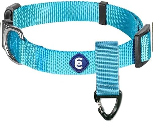 Blueberry Pet Essentials X-Small Dog Collar & Key Holder Set | Adjustable Turquoise Nylon Collar for Small Dogs | Classic Solid Color Collar with Matching Accessory