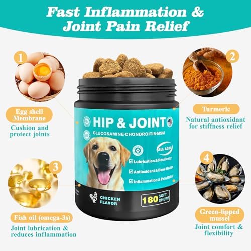 Dog Hip & Joint Supplement – Glucosamine for Dogs Chews with Chondroitin & MSM, Advanced Joint Support for Large & Senior Dogs, Supports Mobility & Everyday Comfort – 180 Count
