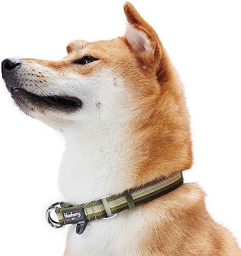 Blueberry Pet 3M Reflective Dog Collars | Adjustable Dog Collar w/Multi-Colored Stripe - Olive | Nylon Pet Collars for Dogs & Refflective Dog Collar for Small Dogs