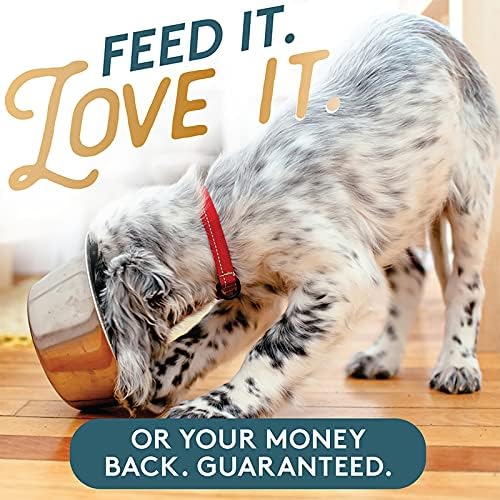 The Missing Link Pet Kelp Dog Probiotic Organic Supplement Powder, 8 oz