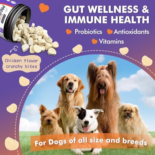 DRFOSTER Probiotics for Dogs, Freeze-Dried Dog Probiotics, 180 Bites