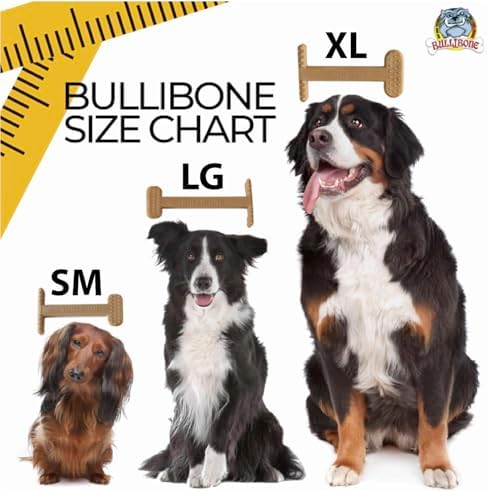 Bullibone Nylon Dog Chew Toy for Aggressive Chewers - Dental Hygiene Bone with Peanut Butter Flavor, Durable Tough Chew Toys for Small Dogs, Indestructible Dog Bone - Single