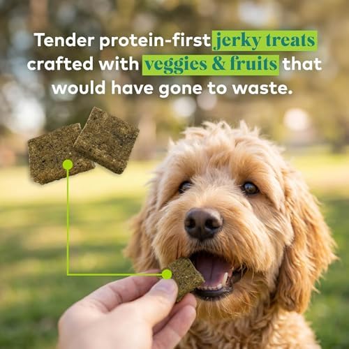 Honest to Goodness Protein Bites Chicken & Pea Dog Jerky, 5.5 oz