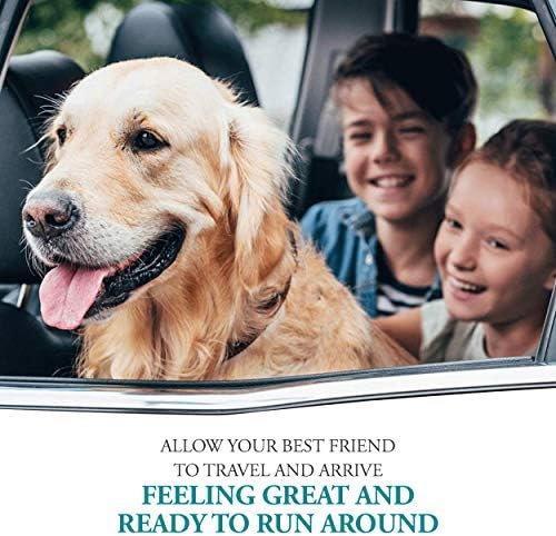 Anti-Motion Sickness and Nausea Relief for Small Breed Dogs, Relief for Disorientation and Dizziness, 10 Tablets