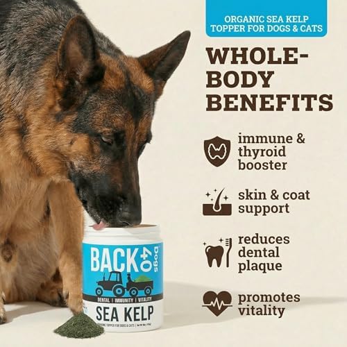 Organic Kelp Powder for Dogs, Dried Sea Kelp Supplement for Thyroid Function, Dental Health, Immune Support, Digestion, Skin & Coat - Iodine Rich - Multivitamin for Cats & Dogs - Made in USA