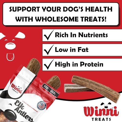 Winni Treats Elk Antlers for Dogs - Single Ingredient, Preservative-Free, Premium Shed, Grade A Split Elk Antler Dog Chew, High in Protein, Calcium for Teeth, Low in Fat, Dog Treat Antler (2 Pieces)