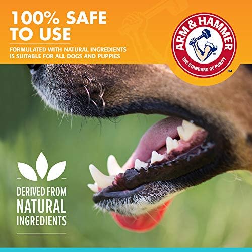 Arm & Hammer Fresh Breath Enzymatic Dog Toothpaste, Chicken, 2.5 Oz, 3-Pk | Enzymatic baking soda formula, poultry flavor, daily use, puppies and adult dogs