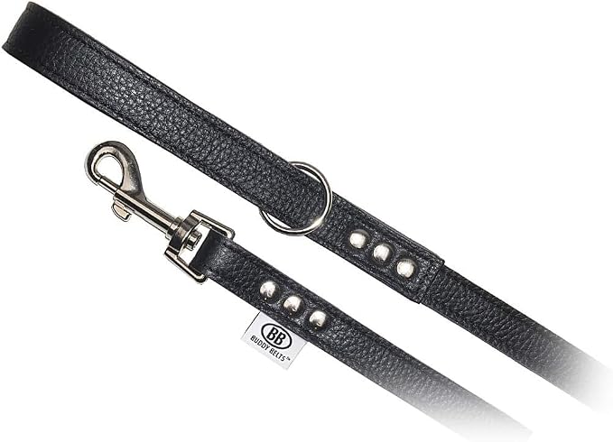 Premium Leather Dog Leash by Buddy Belts