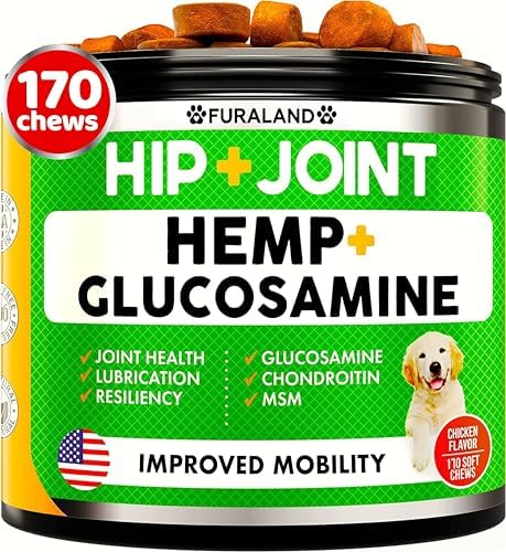 Hemp Hip and Joint Supplement for Dogs - Glucosamine for Dogs - 170 Ct