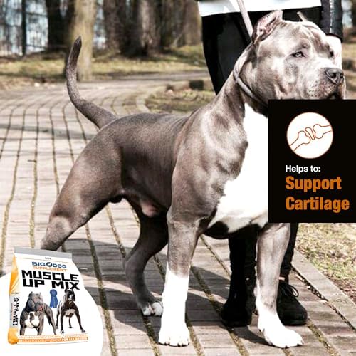 BGK Big Dog Supplement – (BGK Muscle UP)