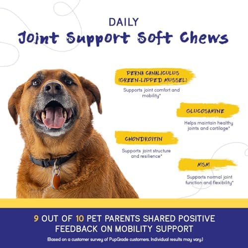 PupGrade Joint Support for Dogs, Beef Flavor - 180 Soft Chews