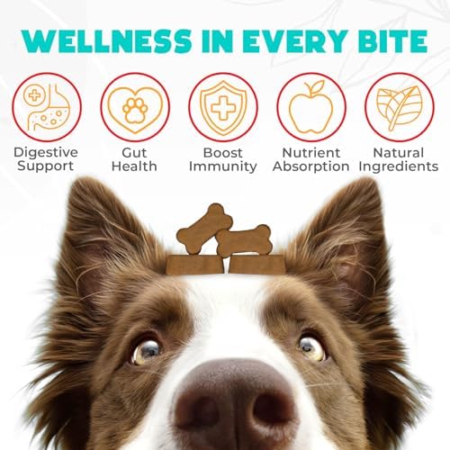 Probiotics for Dogs Chews 150 pcs - Probiotic Chews for Dogs with Enzymes & Natural Ingredients - Digestive & Gut Health Support - US Formula - Beef Flavored