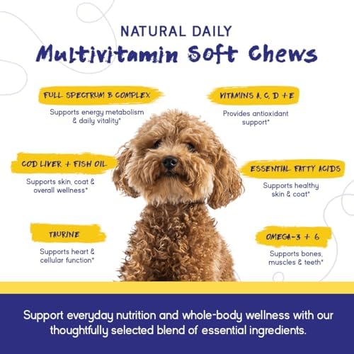 PupGrade Daily Multivitamin for Dogs, Beef Flavor – 90 Soft Chews | All-in-One Supplement with Omega Fish Oil, Vitamins A, C, D, E & B Complex for Everyday Health