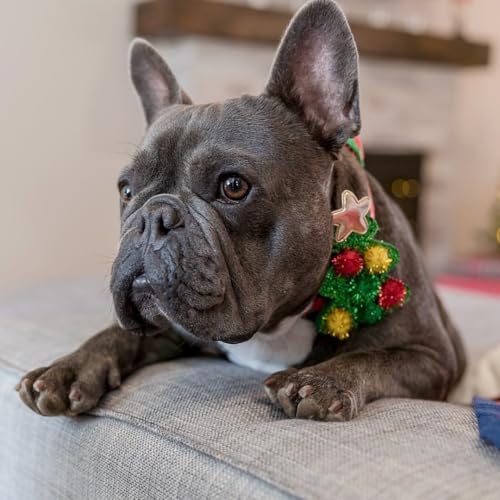 Blueberry Pet Festive Christmas Polka Dots Dog Collar with Bow, Medium Size, Adjustable 14.5"-20" Holiday Collar for Medium Dogs