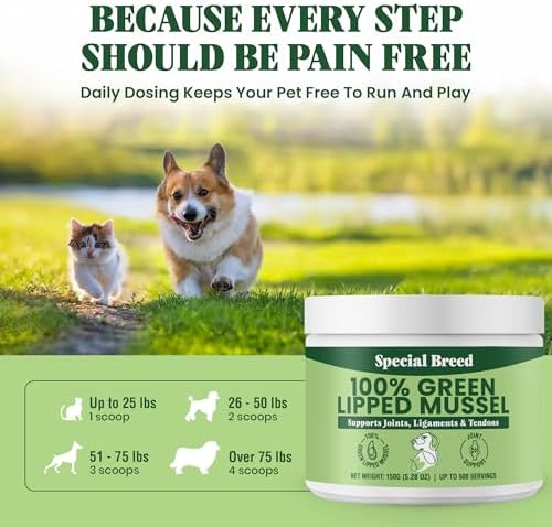 Green Lipped Mussel Powder for Dogs & Cats - 100% New Zealand Green Lipped Mussels - Natural Hip & Joint Supplement for Joints, Tendons, Ligaments, Muscles - 150 Grams - Up to 500 Servings