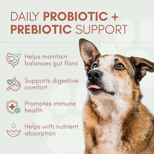 Dog Probiotics with Prebiotics, Digestive Enzymes, Pumpkin Fiber & Colostrum, Daily Gut Health Support for Diarrhea, Gas & Bloating, Six-Strain Probiotic Blend, 60 Beef Flavor Chews