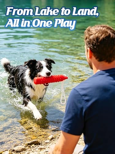 MEWTOGO 2 Pack Interactive Dog Pool Toys | Water Floating Toys for Medium Large Dogs, Fetch Training Bumpers for Beach Lake Pet Enjoyment, Red