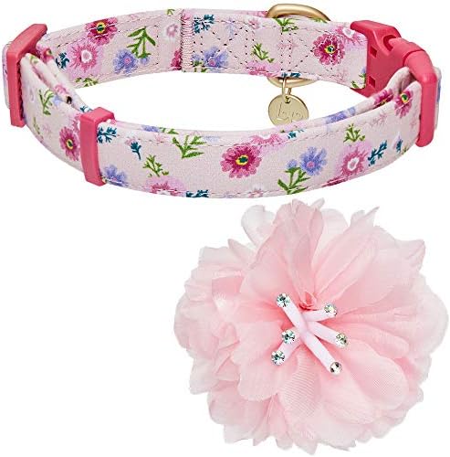 Blueberry Pet Floral Power Cosmos Designer Pink Adjustable Dog Collar with Detachable Pink Peony, Medium, Neck 14.5"-20"