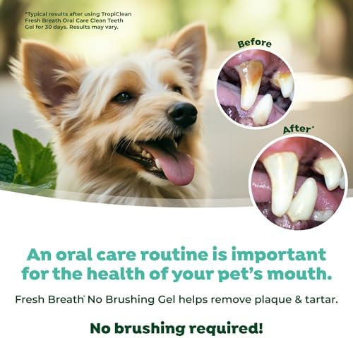 TropiClean No Brush Dog Toothpaste for Teeth Cleaning, Peanut Butter, 4oz