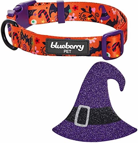 Blueberry Pet Halloween Witch Hat Adjustable Dog Collar with Detachable Glitter Accessory, Large, Neck 18"-26"