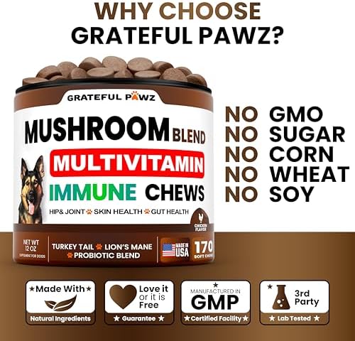 Turkey Tail Mushroom Supplement for Dogs - Mushrooms for Dogs - 170 Chews | Reishi, Lion’s Mane, Glucosamine Multivitamin - Immune Booster, Gut, Hip & Joint Health Support Vitamins, Energy & Skin