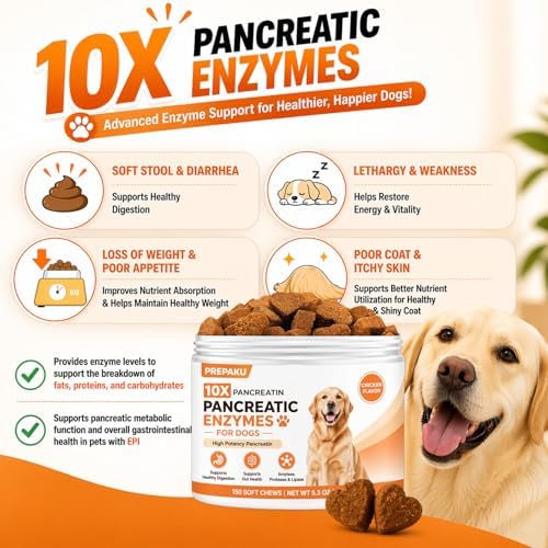 Pancreatic Enzymes for Dogs - 10X Pancreatin Digestive Enzyme Chews