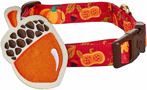Blueberry Pet Thanksgiving Fall Pumpkin and Acorn Adjustable Dog Collar with Detachable Accessory, Large, Neck 18"-26"