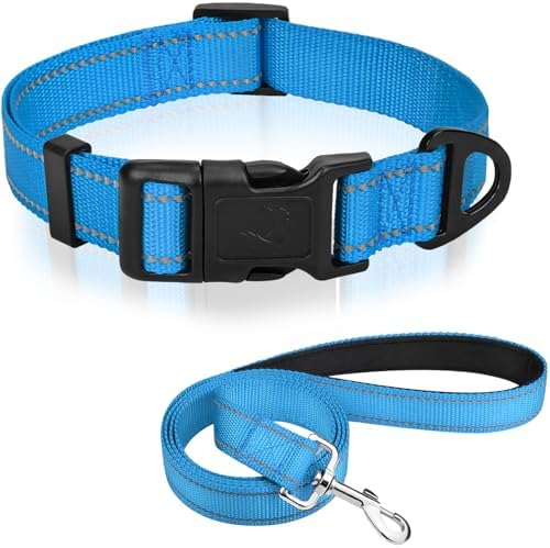 Joytale Dog Collar (10-16") and 6FT x 3/4" Wide Dog Leash Set, Reflective and Adjustable Nylon Collar and Padded Handle Leash for Small Dogs, Sky Blue, S