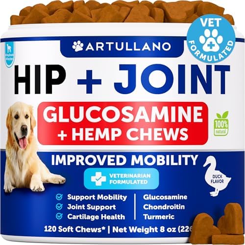 Hip and Joint Supplement Dogs - 120 Treats - Hemp and Joint Chews for Dogs
