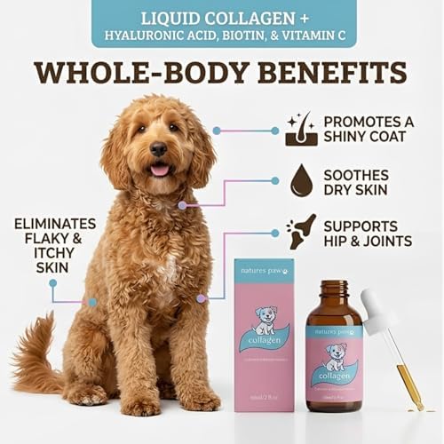 Natures Paw Liquid Collagen for Dogs – Healthy Skin & Coat, Supports Joint, 60ml / 2 fl.oz
