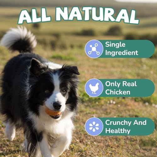 PAWUP Freeze Dried Chicken Necks Dog Treats，4.2 oz