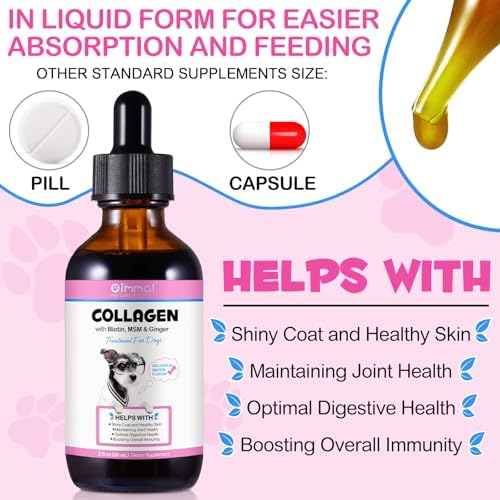 Daily Liquid Collagen for Dogs, Collagen Drop for Dogs, Supports Skin and Coat Health Pet Supplement, Allergy Itch Relief, DogCollagen with Biotin, MSM & Ginger, 2 Fl.oz