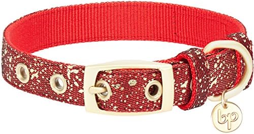 Blueberry Pet Gold Stamping Lace Adjustable Dog Collar in True Red, Neck 9-12.5", for Small Breed
