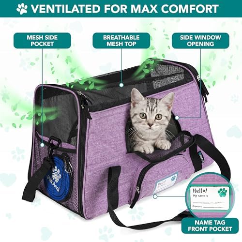 PetAmi Airline Approved Pet Carrier, Cats & Small Dogs, Small, Heather Purple
