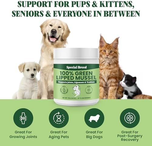 Green Lipped Mussel Powder for Dogs & Cats - 100% New Zealand Green Lipped Mussels - Natural Hip & Joint Supplement for Joints, Tendons, Ligaments, Muscles - 75 Grams - Up to 250 Servings