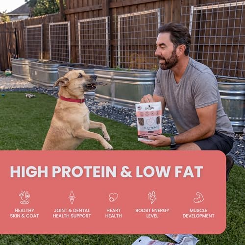 Dehydrated Beef Heart Dog Treats - Single Ingredient, 4oz