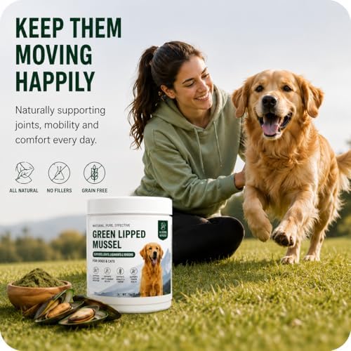 Green Lipped Mussel Powder for Dogs and Cats – 100% New Zealand Mussels, Joint & Mobility Support Supplement for Dogs and Cats, Easy-to-Mix Daily Wellness Powder, 2.64 oz, Up to 250 Servings