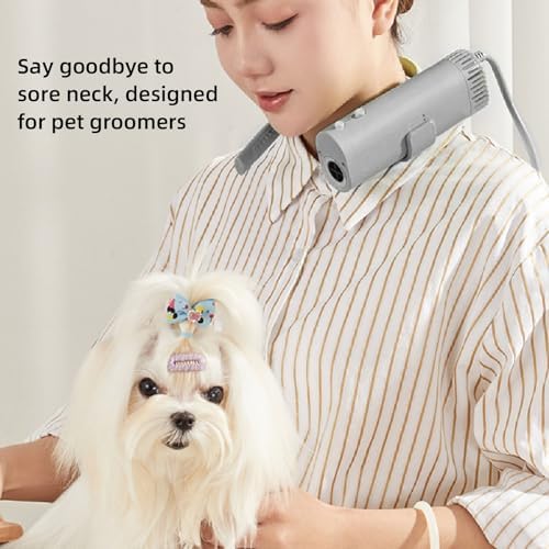 Dog Hair Dryer, 2 Speeds and 4 Temperatures Adjustable Pet Hair Dryer, Low Noise Dog Dryer for Pet Grooming, Portable Handheld Dog Dryer for Home Use, Dog Grooming Supplies (US