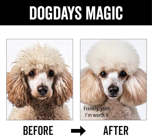 Pride and Groom DogDays Curly + Wavy Grooming Shampoo | Tearless, All-Natural Shampoo for No and Low Shedding Dogs | Moisturizing Formula for Soft, Shiny, & Healthy Fur – 16 oz