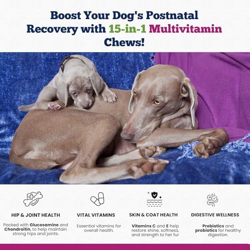 15-in-1 Postnatal Vitamins for Dogs - Enhances Recovery, Supports Joint Health, Skin & Coat Care - Probiotics & Multivitamins for Nursing Dogs - 120 Chewable Chicken Flavor Tablets