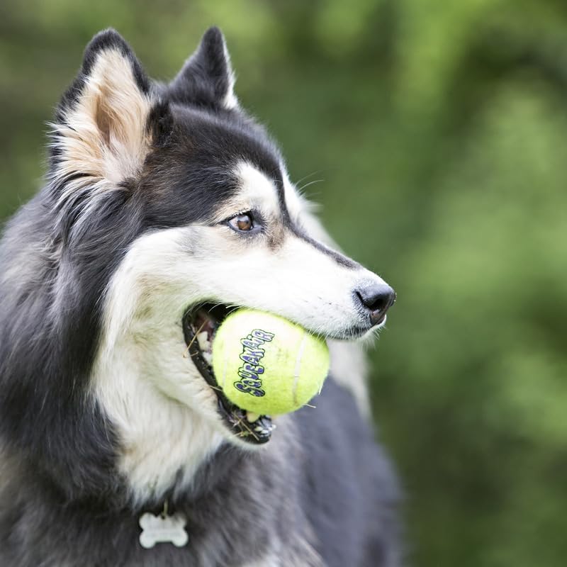 Kong Squeakair Dog Toy Tennis Ball - Medium, x 9