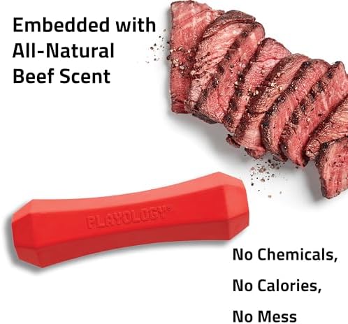 Playology Squeaky Chew Stick - Scented Dog Toy - Medium, Beef Scent | Rubber Construction, All Natural Scent, Durable Design
