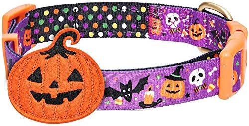Blueberry Pet Halloween Pumpkin Party Designer Adjustable Dog Collar with Detachable Decoration, Medium, Neck 14.5"-20"