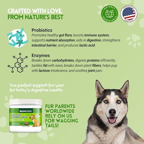 Herbion Pets Digestive Support Chews with Probiotics & Enzymes, 120 Soft Chews, with Daily Digestive Enzymes, for Improved Gut Health, Minimum 2 Billion CFUs, Made in USA for Dogs 12 Weeks+, Pack 1