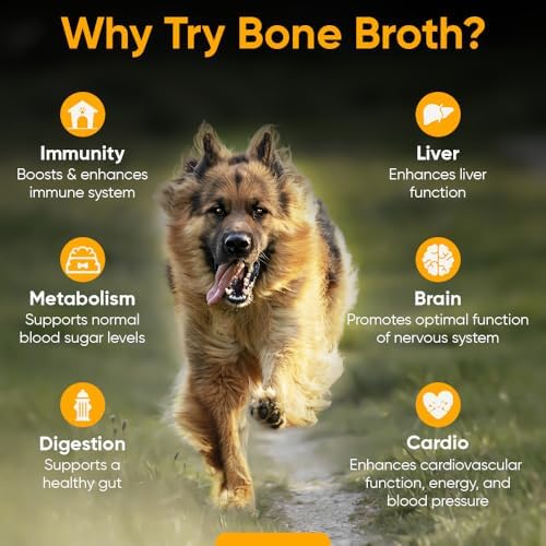 iHeartDogs Bone Broth & Turkey Tail Mushroom Powder Supplement for Dogs