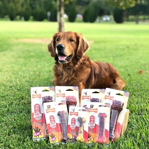 Nylabone Power Chew Textured Bone Dog Chew Toy, Beef Jerky Flavor, Medium | Durable, long lasting, discourages destructive chewing, teeth-cleaning textures, flavor throughout, for dogs up to 35 lbs