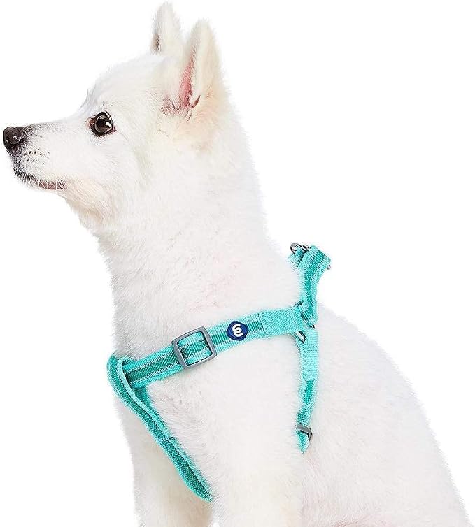 Blueberry Pet Essentials Step-in Reflective Back to Basics Dog Harness, Minty Green, Chest Girth 26" - 39", Large, Adjustable Harnesses for Dogs