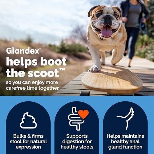 Vetnique Glandex Advanced Strength Anal Gland Chews for Dogs, 120ct